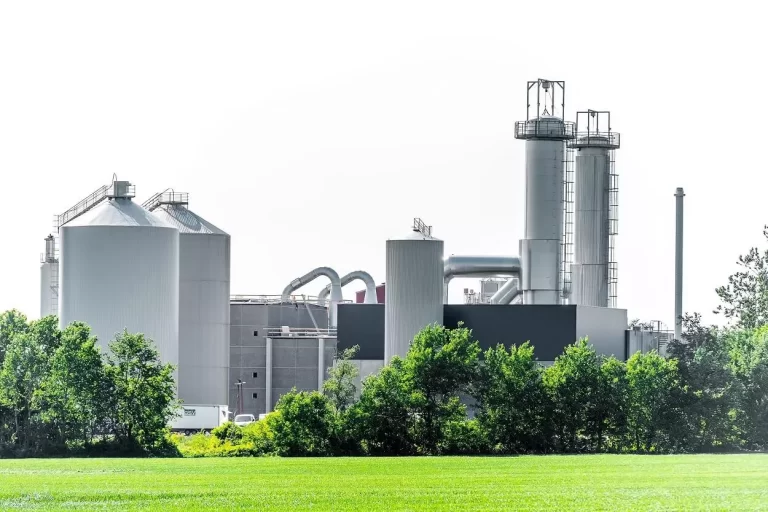 Starch plant